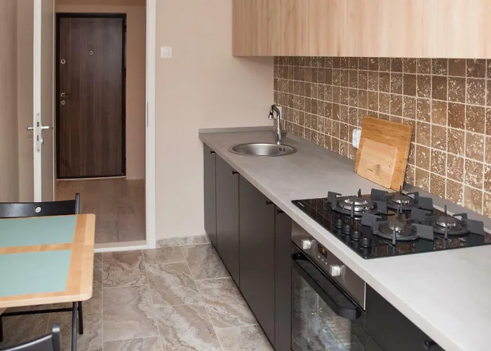 Ultracentral, Brand New, Modern And Cozy * Timişoara